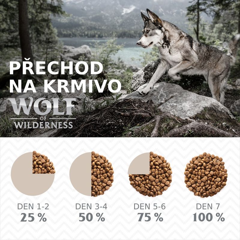 Wolf of Wilderness Junior "Blue River" s lososem - bez obilovin