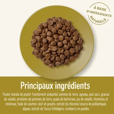 Principaux ingrédients : poulet, pomme de terre, agneau, pois secs, graisse de volaille, protéines de pommes de terre, pulpe de betterave, jus de volaille, vitamines et minéraux, huile de saumon.