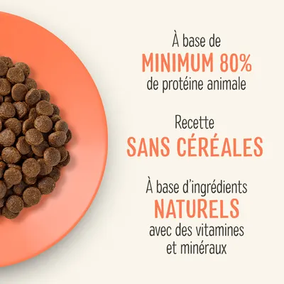 À base de minimum 80 % de protéine animale, recette sans céréales, à base d’ingrédients naturels avec des vitamines et minéraux. Texte en français belge.