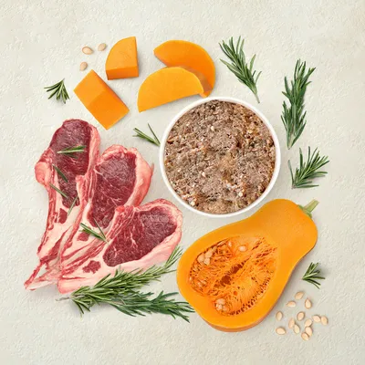 Zutaten: rohes Fleisch, Kürbisstücke, Rosmarinzweige und Schale mit zerkleinertem Futter. Darstellung der natürlichen Inhaltsstoffe des Produkts.
