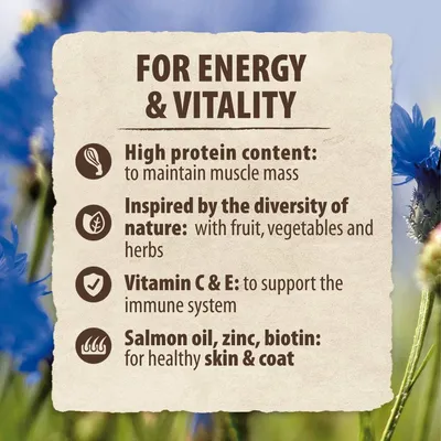 For energy and vitality: high protein content for muscle mass, fruit, vegetables and herbs, vitamin C and E for immune system, salmon oil, zinc, biotin for healthy skin and coat.