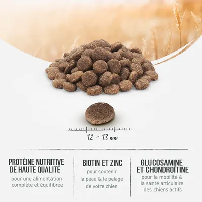 Croquettes rondes, diamètre 12–13 mm. Texte visible : Protéine nutritive de haute qualité, Biotine et zinc, Glucosamine et chondroïtine, avec descriptions pour chien.