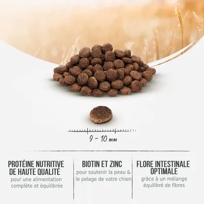 Croquettes rondes, diamètre 9–10 mm. Texte visible : Protéine nutritive de haute qualité, Biotin et zinc, Flore intestinale optimale. Informations sur la composition en bas de l’image.