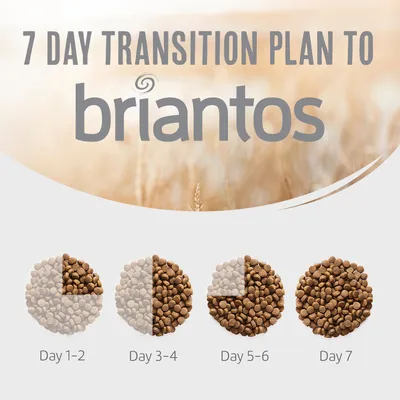 Briantos Adult Salmone & Patate - senza cereali Crocchette per cane