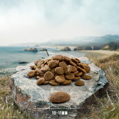 Dog food in round shape, size 10-11mm, on a stone with coastal landscape in the background.