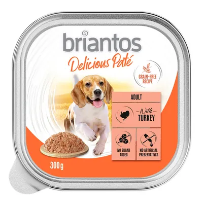 briantos Delicious Paté, recette sans céréales, 300 g, adulte, avec dinde, sans sucre ajouté, sans conservateurs artificiels, pâtée pour chien visible sur l’emballage