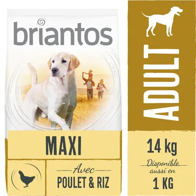 briantos MAXI ADULT, 14 kg, disponible aussi en 1 kg, avec poulet & riz, illustration d’un chien et pictogramme poulet visibles sur l’emballage