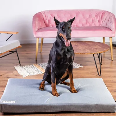 Graues Hundekissen mit Label 'Classic', präsentiert in einem Wohnzimmer mit Holzboden und rosa Sofa. Dobermann sitzt auf dem Kissen.
