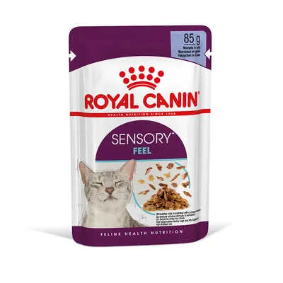 Royal Canin Sensory Feel, 85 g, morceaux en gelée pour chat. Visuel d’un chat gris et de la nourriture sur l’emballage. Texte : Feline Health Nutrition.