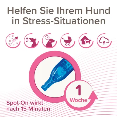 Helfen Sie Ihrem Hund in Stress-Situationen. Spot-On wirkt nach 15 Minuten und hält 1 Woche. Geeignet für Feuerwerk, Reisen, Alleinsein, Spaziergänge, Zuhause und Gewitter.