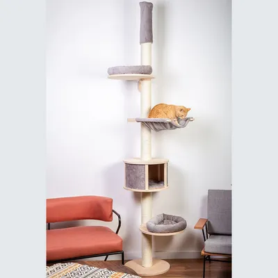 Tiragraffi alto con più piattaforme e cuccia grigia, struttura in legno e sisal, un gatto arancione sdraiato su una delle piattaforme. Mobili visibili sullo sfondo.
