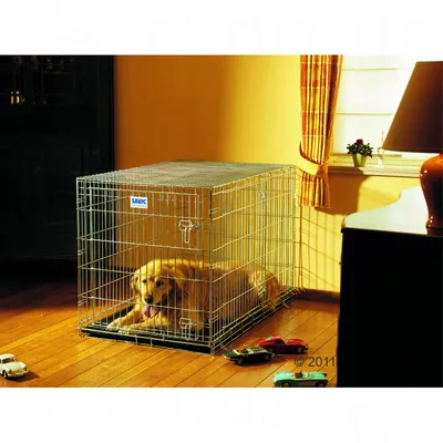 Metal wire pet crate shown in use indoors, with a large animal lying inside. Crate features secure door latches and is placed on a wooden floor near toy cars.