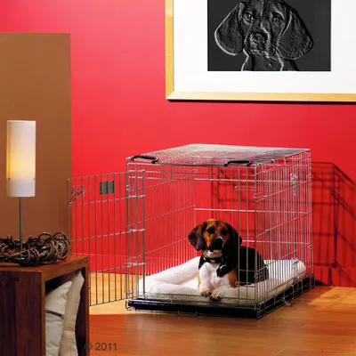 Metal pet crate with open door, showing a small dog sitting inside on a white cushion in a home setting. Demonstrates indoor use and size of the crate.