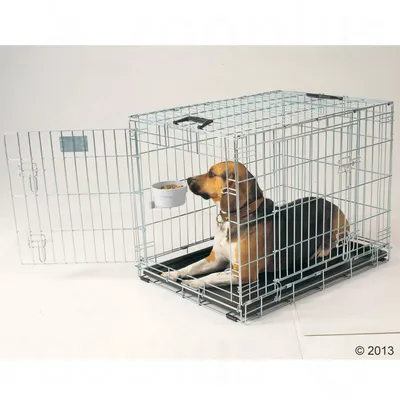 Wire pet crate with open door, showing a medium-sized dog lying inside and eating from a bowl attached to the side of the crate.