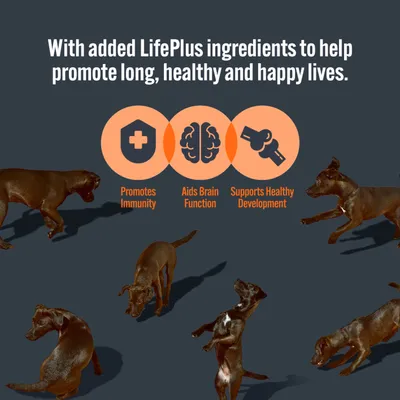 LifePlus ingredients promote immunity, aid brain function, and support healthy development to help promote long, healthy and happy lives.