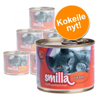 Smilla mit Rind -kissanruokapurkkeja, etiketissä harmaa kissa. Oranssi merkki: Kokeile nyt!