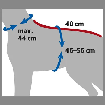 Schéma de mesures sur un chien : tour de cou max. 44 cm, longueur du dos 40 cm, tour de poitrail 46–56 cm.