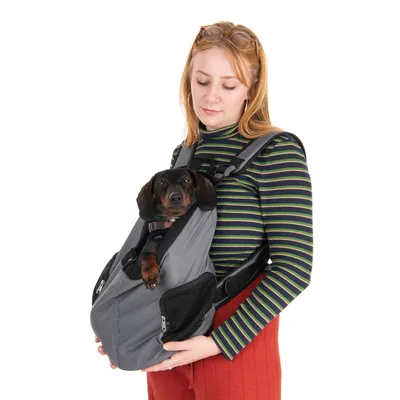 Borsa per pet con spallacci regolabili, finestre in rete e cerniere. Cane seduto comodamente nella borsa.