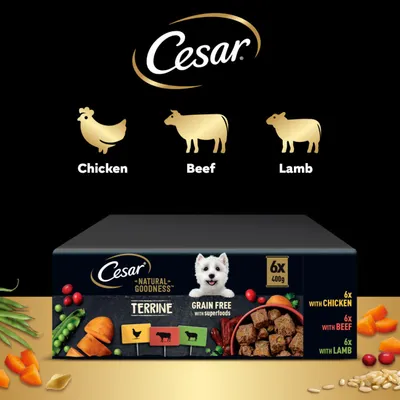 Cesar Natural Goodness Loaf Mixed Selection - 6 x 400g Cesar Natural Goodness Loaf Mixed Selection - 6 x 400g