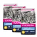 Lot Eukanuba pour chat