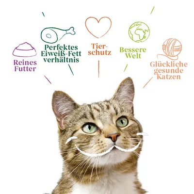 Reines Futter, perfektes Eiweiss-Fett-Verhältnis, Tierschutz, bessere Welt, glückliche gesunde Katzen. Illustration mit Katze und Symbolen.