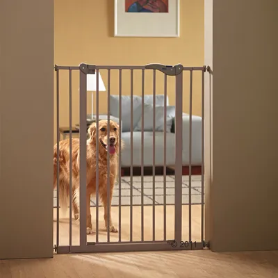 Metalen hondenhek geplaatst in deuropening, hond staat erachter. Woonkamer met bank en schilderij op de achtergrond zichtbaar.