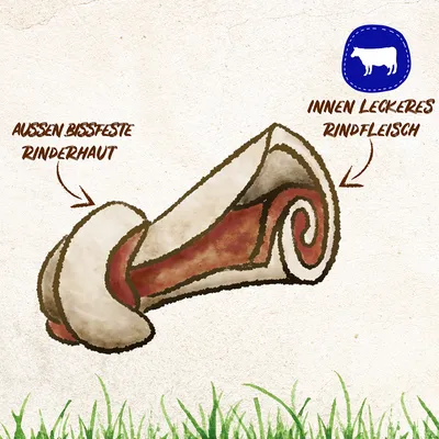 Illustration eines Kauknochens: Aussen bissfeste Rinderhaut, innen leckeres Rindfleisch. Symbol mit Kuh-Silhouette oben rechts.