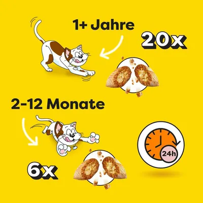 Fütterungsempfehlung: Katzen ab 1 Jahr, 20 Stück täglich. Katzen von 2-12 Monaten, 6 Stück täglich. Hinweis auf 24-Stunden-Fütterungszeitraum.