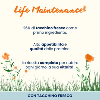 Almo Nature Functional Life Maintenance Tacchino & Riso Almo Nature Functional Life Maintenance Tacchino & Riso