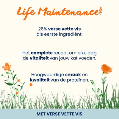 Voordeelpakket Almo Nature Holistic 4 x 2 kg Voordeelpakket Almo Nature Holistic 4 x 2 kg