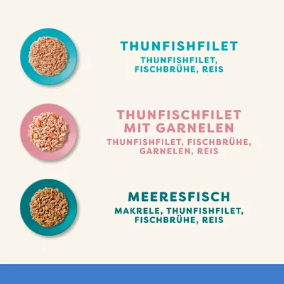 Drei Sorten: Thunfischfilet mit Fischbrühe und Reis, Thunfischfilet mit Garnelen, Fischbrühe und Reis, Meeresfisch mit Makrele, Thunfischfilet, Fischbrühe und Reis.