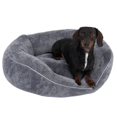 Modern Living Hundeseng Atlanta