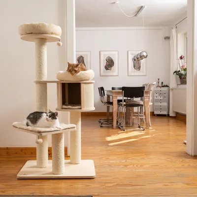 Kratzbaum mit mehreren Ebenen, Höhle und Liegeflächen aus beigem Stoff. Zwei Katzen nutzen den Kratzbaum in einem Wohnzimmer mit Holzboden und moderner Einrichtung.