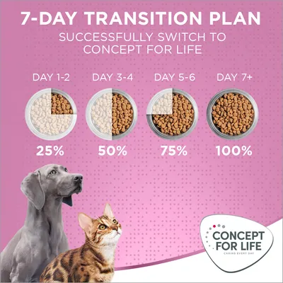 Piano di transizione 7 giorni per Concept for Life: giorno 1–2 25%, giorno 3–4 50%, giorno 5–6 75%, dal giorno 7 100%. Immagine di cane, gatto e logo Concept for Life.