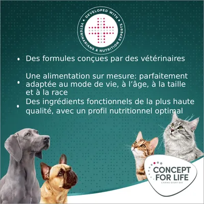 Concept for Life Large Senior pour chien