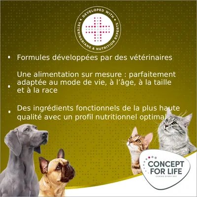 Concept for Life Mini Senior pour chien