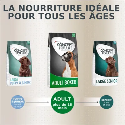 Trois sacs Concept for Life : Large Puppy & Junior jusqu’à 15 mois, Adult Boxer plus de 15 mois, Large Senior 6 ans et plus. Texte : La nourriture idéale pour tous les âges.