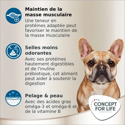Maintien de la masse musculaire, selles moins odorantes, pelage & peau. Concept for Life. Texte sur protéines, digestion, acides gras oméga-3 et 6, vitamine B. Chien en photo.