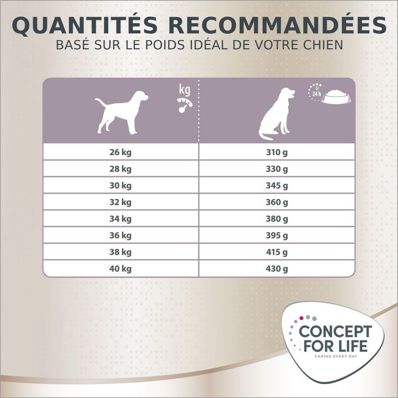 Concept for Life Labrador Sterilised pour chien