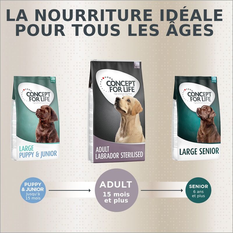Concept for Life Labrador Sterilised pour chien