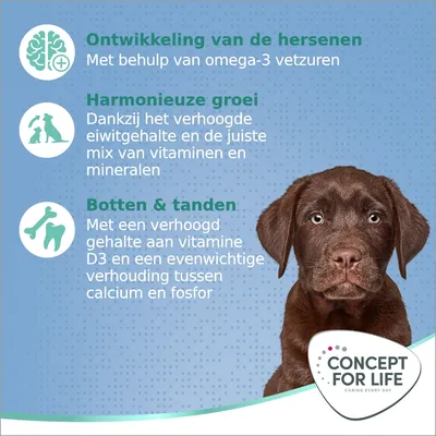 Ontwikkeling van de hersenen met omega-3 vetzuren, harmonieuze groei door eiwitten, vitaminen en mineralen, botten & tanden met vitamine D3, calcium en fosfor. Concept for Life merk.