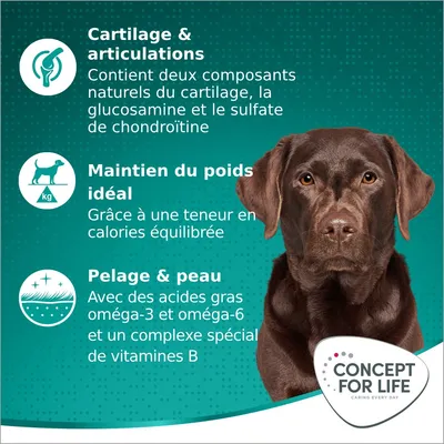 Concept for Life Large Adult