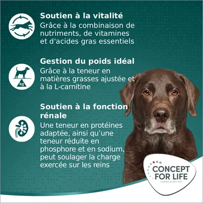 Concept for Life Large Senior pour chien
