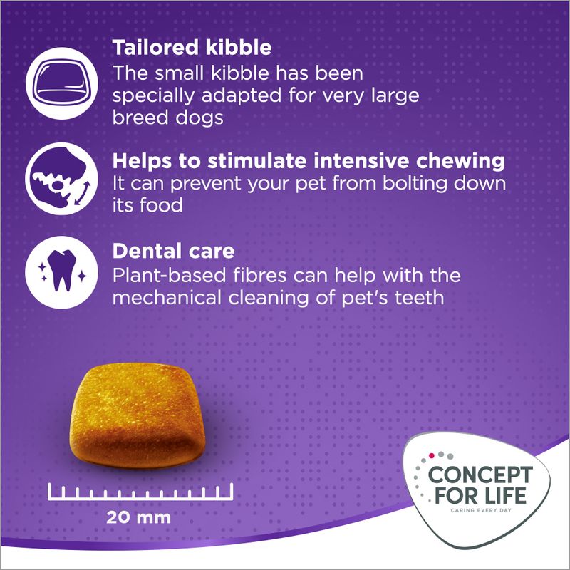 Concept for Life X-Large Adult Crocchette per cani