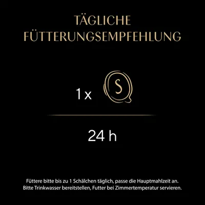 Sheba Filets 16 x 60 g