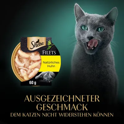 Sheba Filets, Natürliches Huhn, 60 g. Ausgezeichneter Geschmack, dem Katzen nicht widerstehen können.