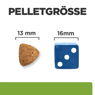 Pelletgrösse dargestellt: links Pellet mit 13 mm, rechts blauer Würfel mit 16 mm als Vergleich.