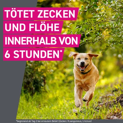 Frontline® TRI-ACT Hunde S (5 - 10 kg)