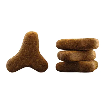 Croquettes marron en forme de triangle arrondi, une posée à plat et quatre empilées sur le côté, fond blanc.