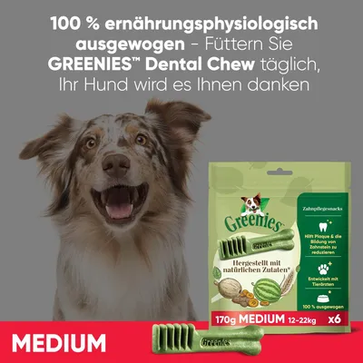 Greenies Dental Chew Medium, 170g für Hunde 12-22kg. Hergestellt mit natürlichen Zutaten. Hilft Plaque und Zahnstein zu reduzieren. Packung enthält 6 Stück.